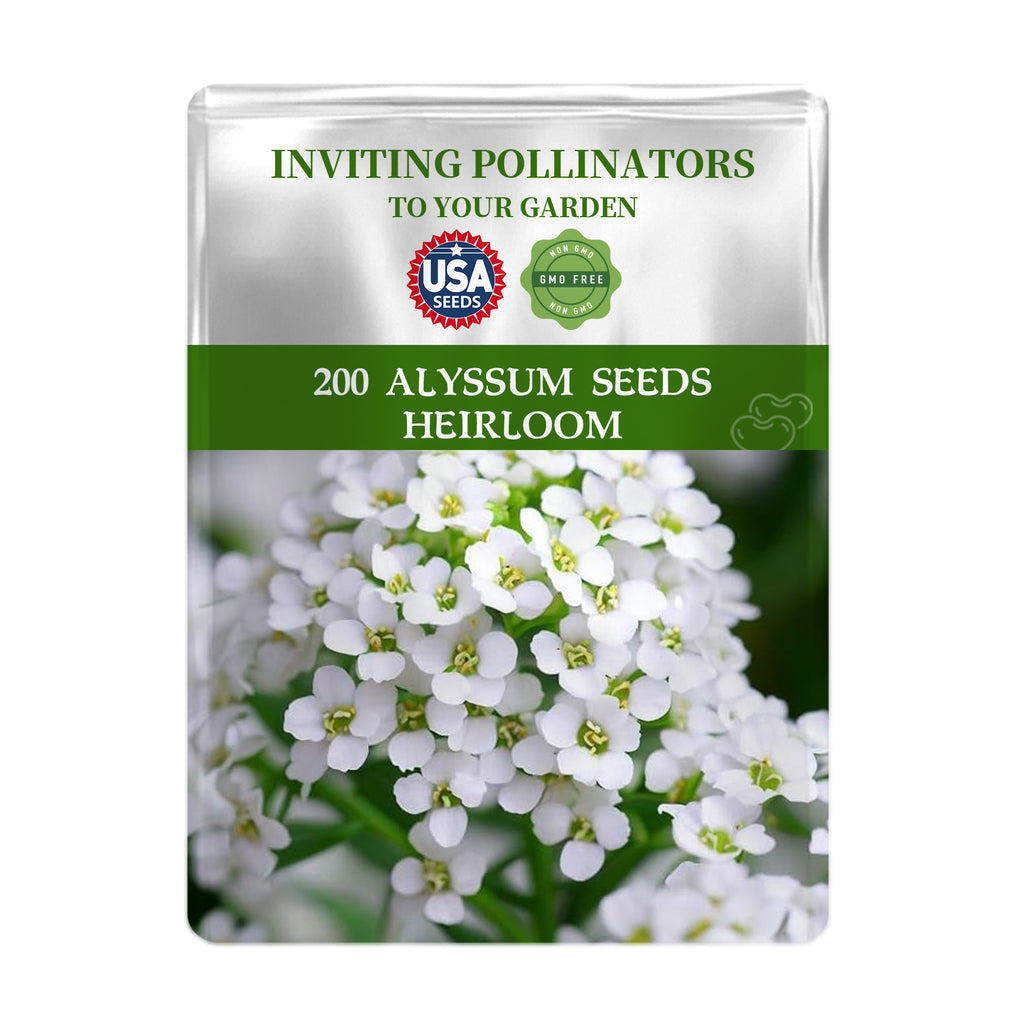 Seeds packet for Sweet Alyssum Groundcover White Alyssum Seeds with USA Seeds branding and flower image on a white background