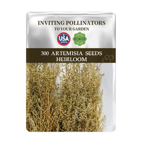 Seeds packet for Sweet Annie Aromatic Foliage Artemisia Seeds with branding and product details on a white background