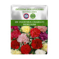 Sweet William Dianthus Seeds packet for Dianthus Chabaud Heirloom with colorful flowers on a white background