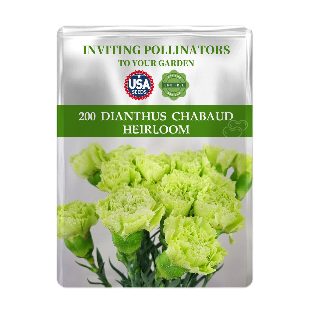 Sweet William Dianthus Seeds packet for Dianthus Chabaud with green flowers on a white background