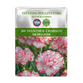 Sweet William Dianthus Seeds packet for Dianthus Chabaud with pink and white flowers on a white background