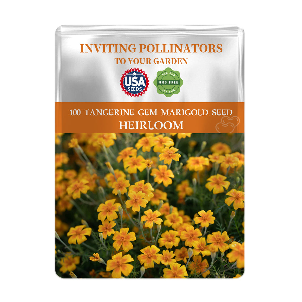 Seeds packet for Tangerine Gem Marigold Seed with USA Seeds logo and images of marigold flowers.