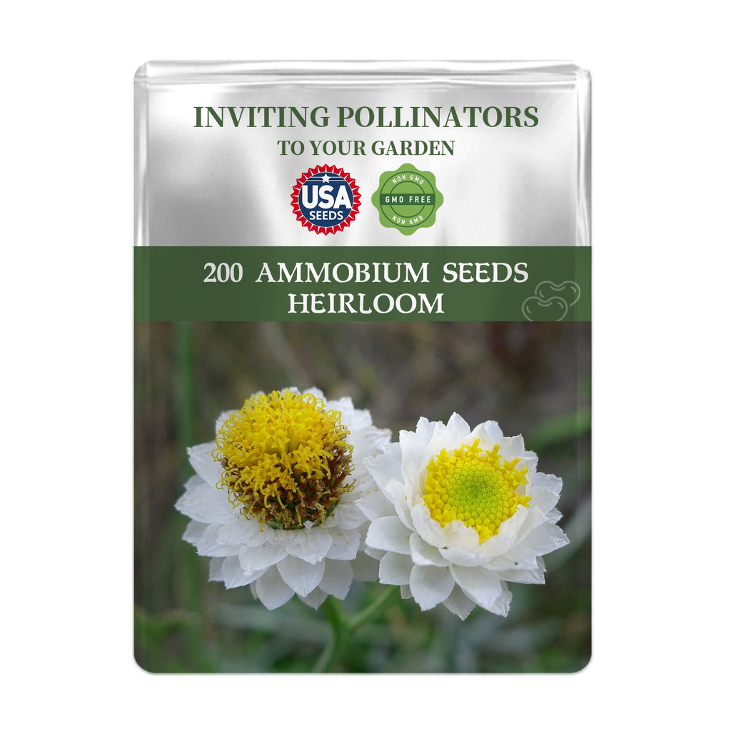 Seed packet for Winged Everlasting Dried Flower Ammobium Seeds with USA Seeds branding and images of flowers on a white background.
