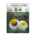 Seed packet for Winged Everlasting Dried Flower Ammobium Seeds with USA Seeds branding and images of flowers on a white background.