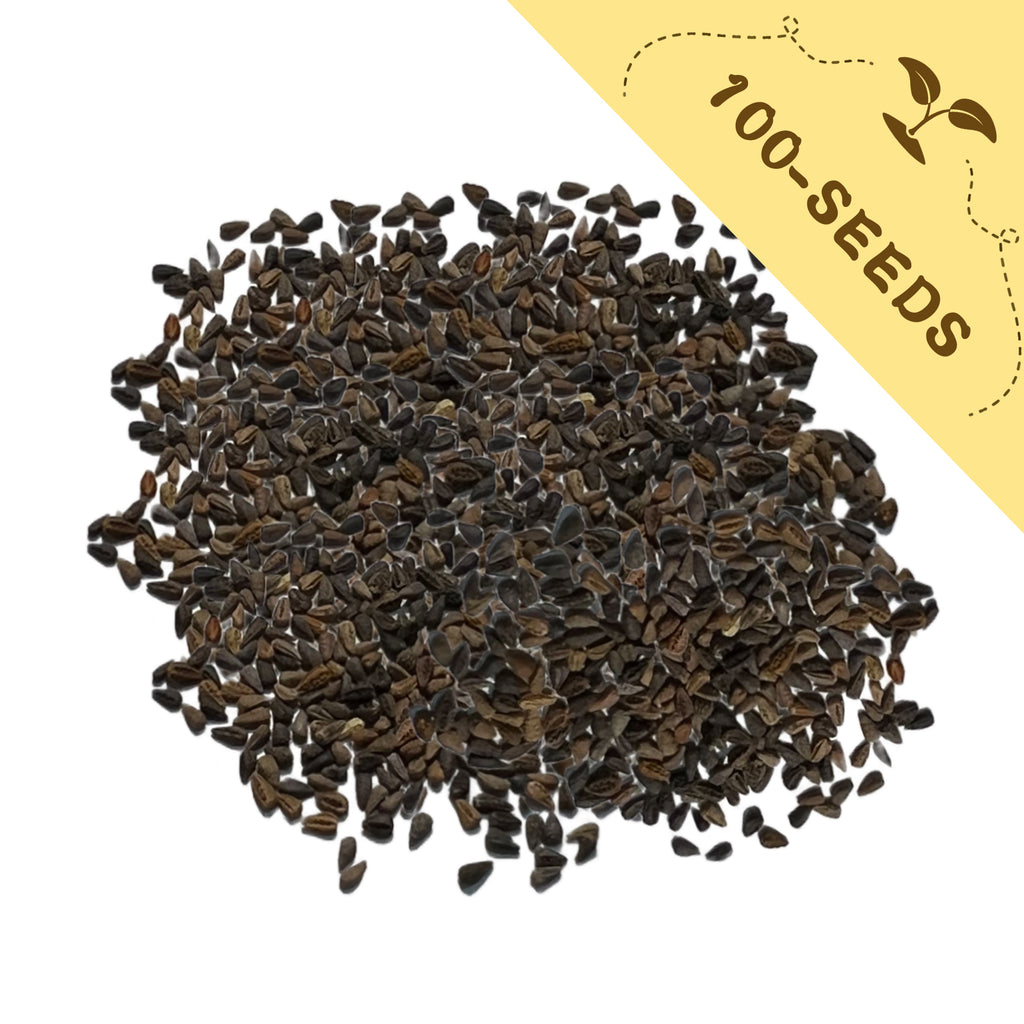 Pile of Double Rose Varieties Lisianthus Seeds with a yellow label indicating '100-seeds' on a white background