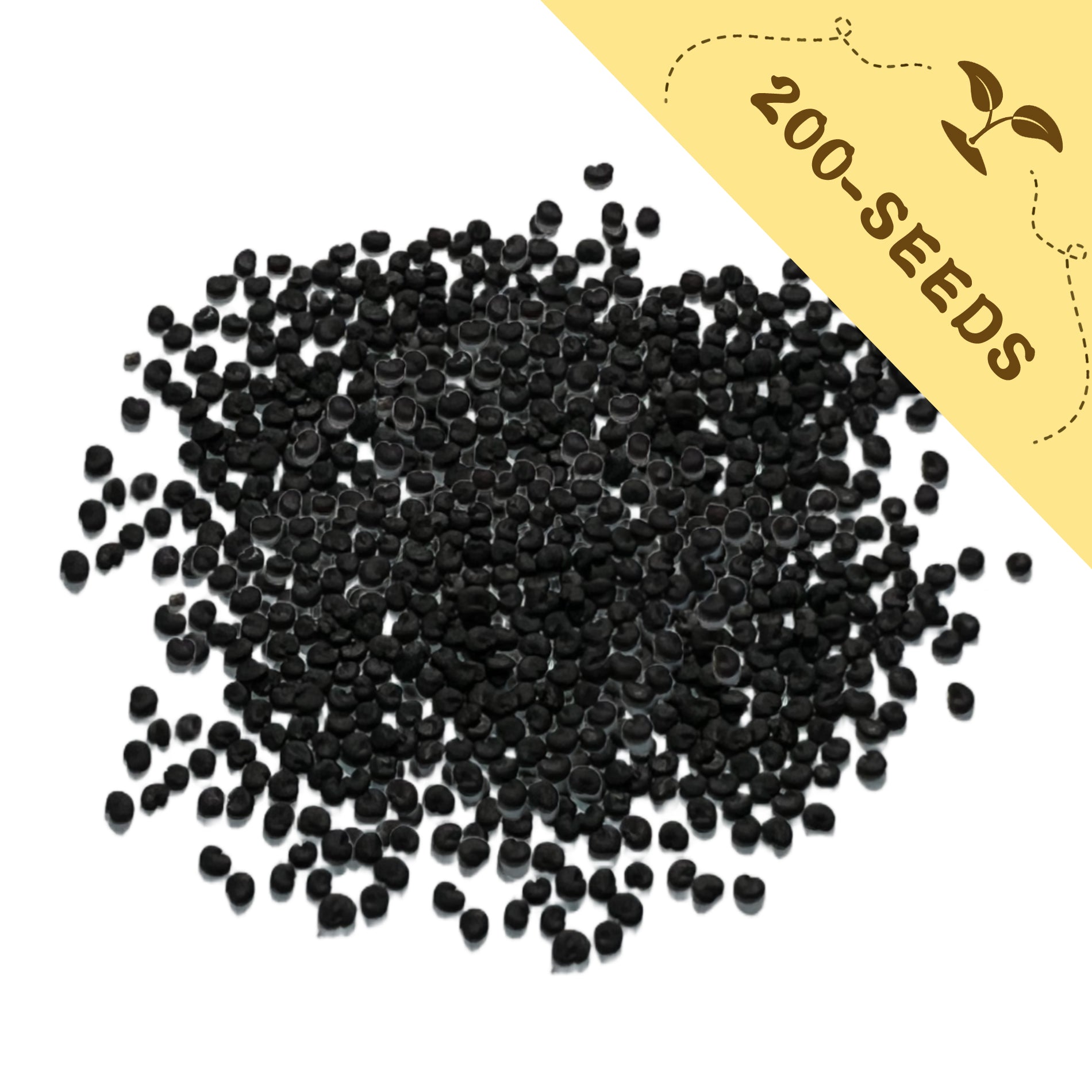 Soapwort Bouncing Bet Saponaria Seeds with a yellow label indicating '200-seeds' on a white background