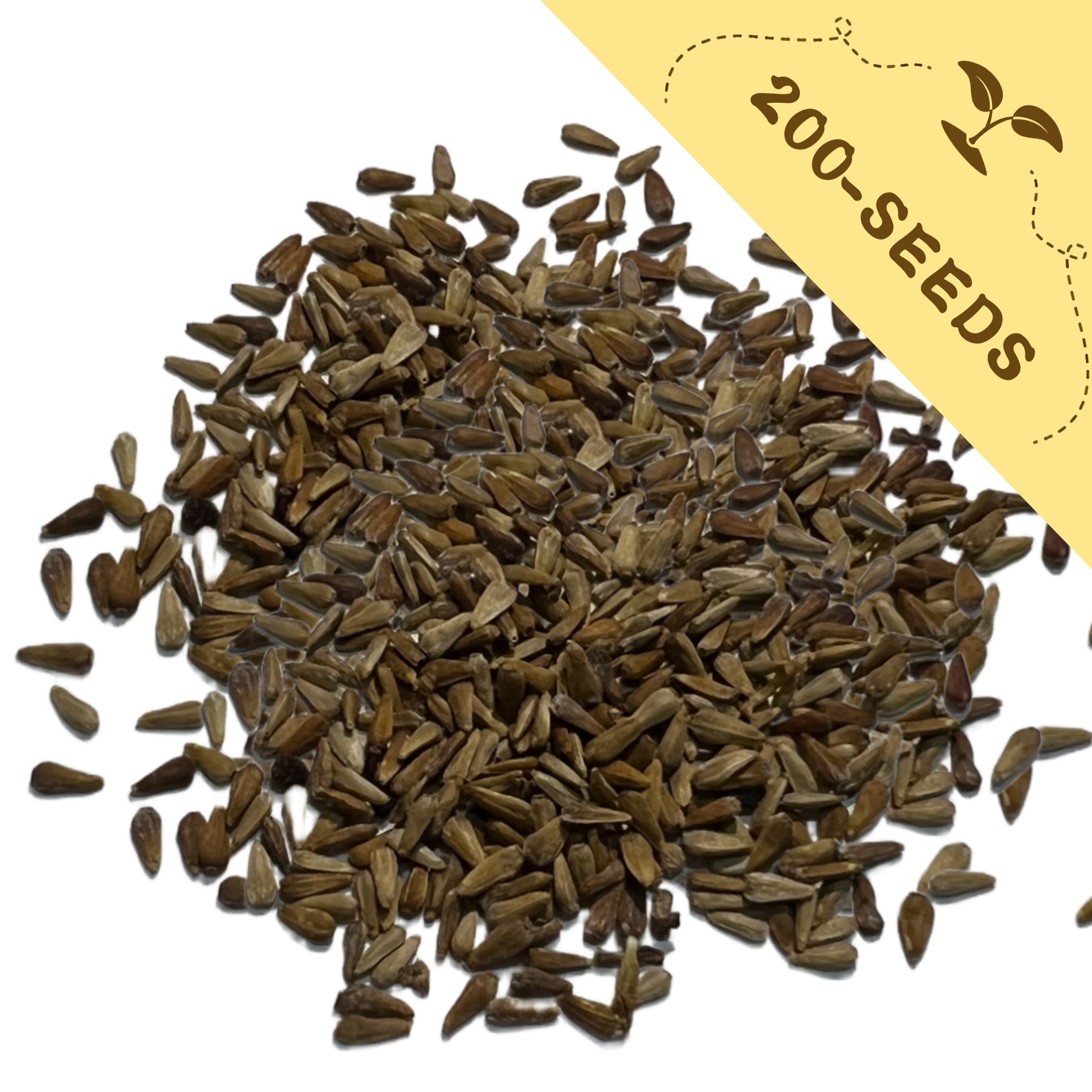 Pile of Cut Flower China Aster Seeds with a yellow label indicating '200-seeds' on a white background