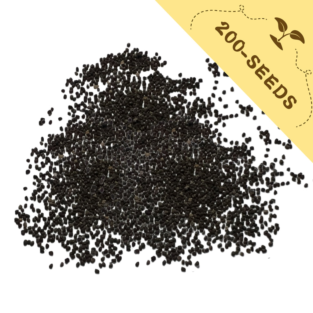 Pile of Tall Antirrhinum Snapdragon Seeds with a yellow label indicating '200-seeds' on a white background