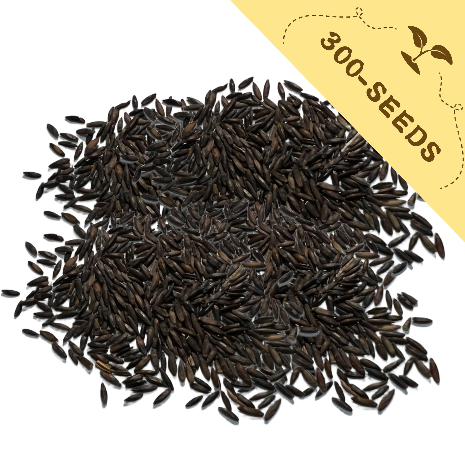 Pile of Statice Seeds-Sea Lavender Everlasting seeds with a yellow label indicating '300-seeds' on a white background