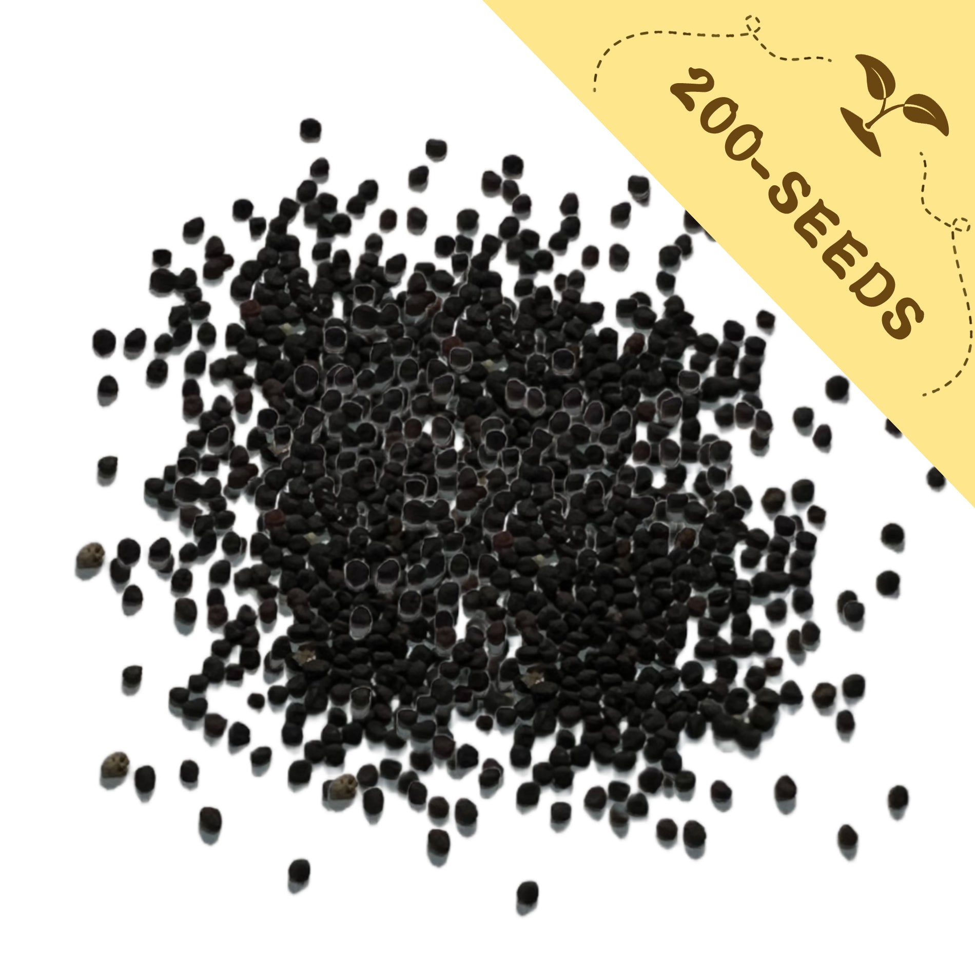 Baby's Breath Covent Garden Gypsophila Seeds with a yellow label indicating '200-seeds' on a white background