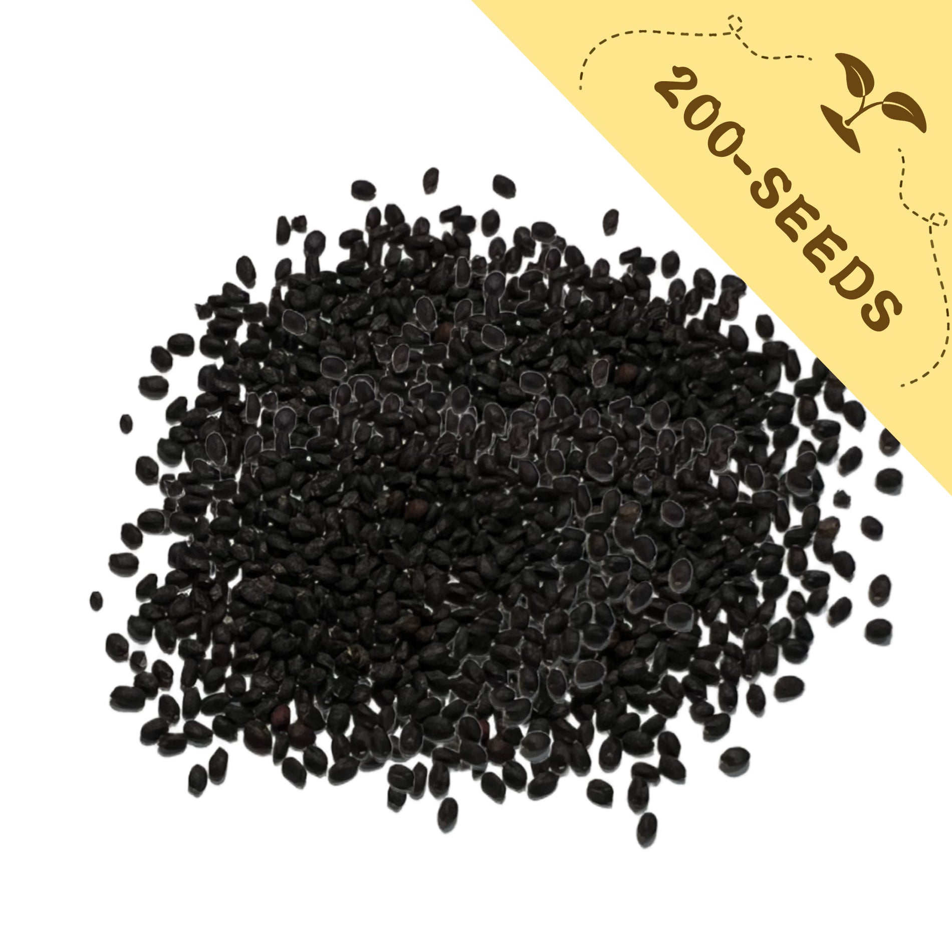 Purple Ornamental Basil Seeds with a yellow label indicating '200-seeds' on a white background