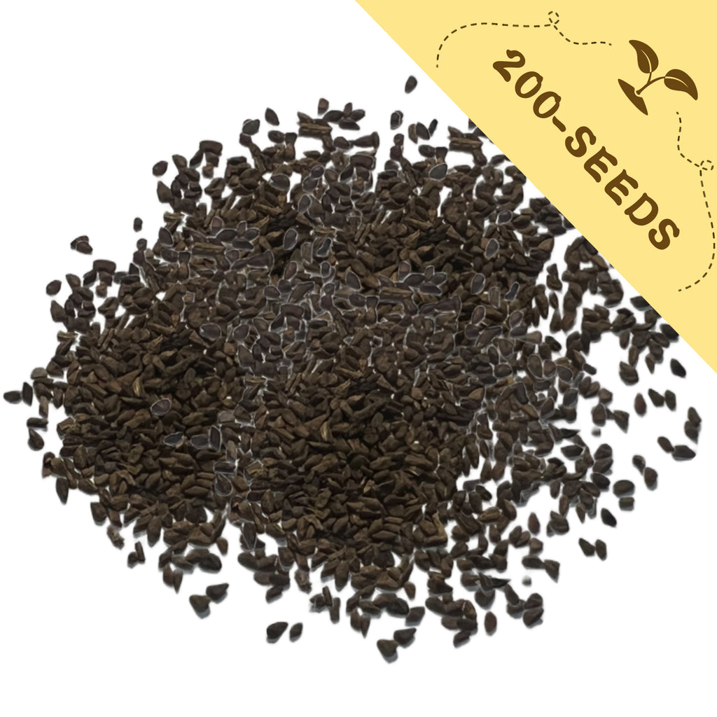Pile of Mountain Garland Clarkia Seeds with a yellow label indicating '200-seeds' on a white background