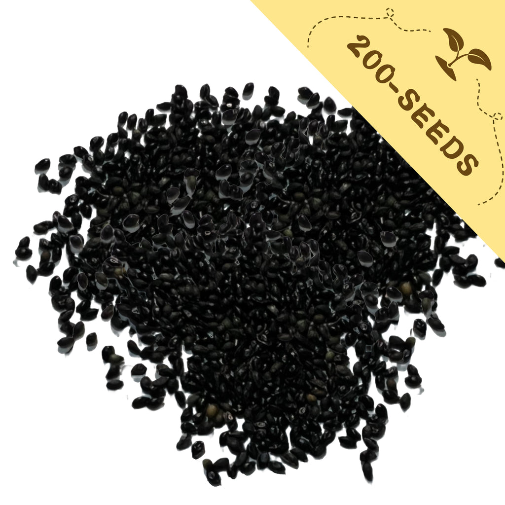 Pile of Granny’s Bonnet Columbine Seeds with a yellow label indicating '200-seeds' on a white background