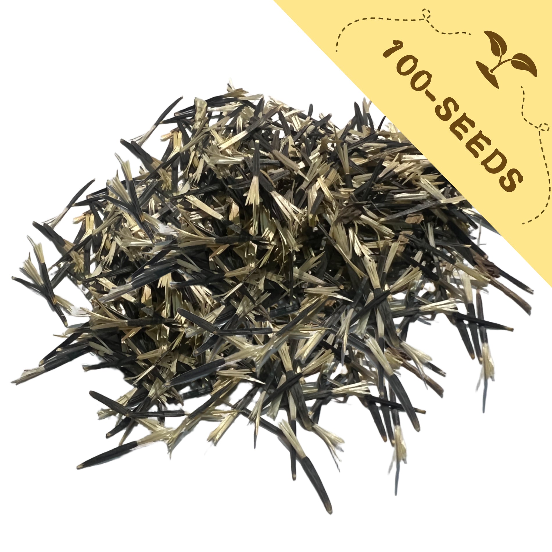 Heap of Queen Sophia Marigold Seeds with a yellow label indicating '100-seeds' on a white background.