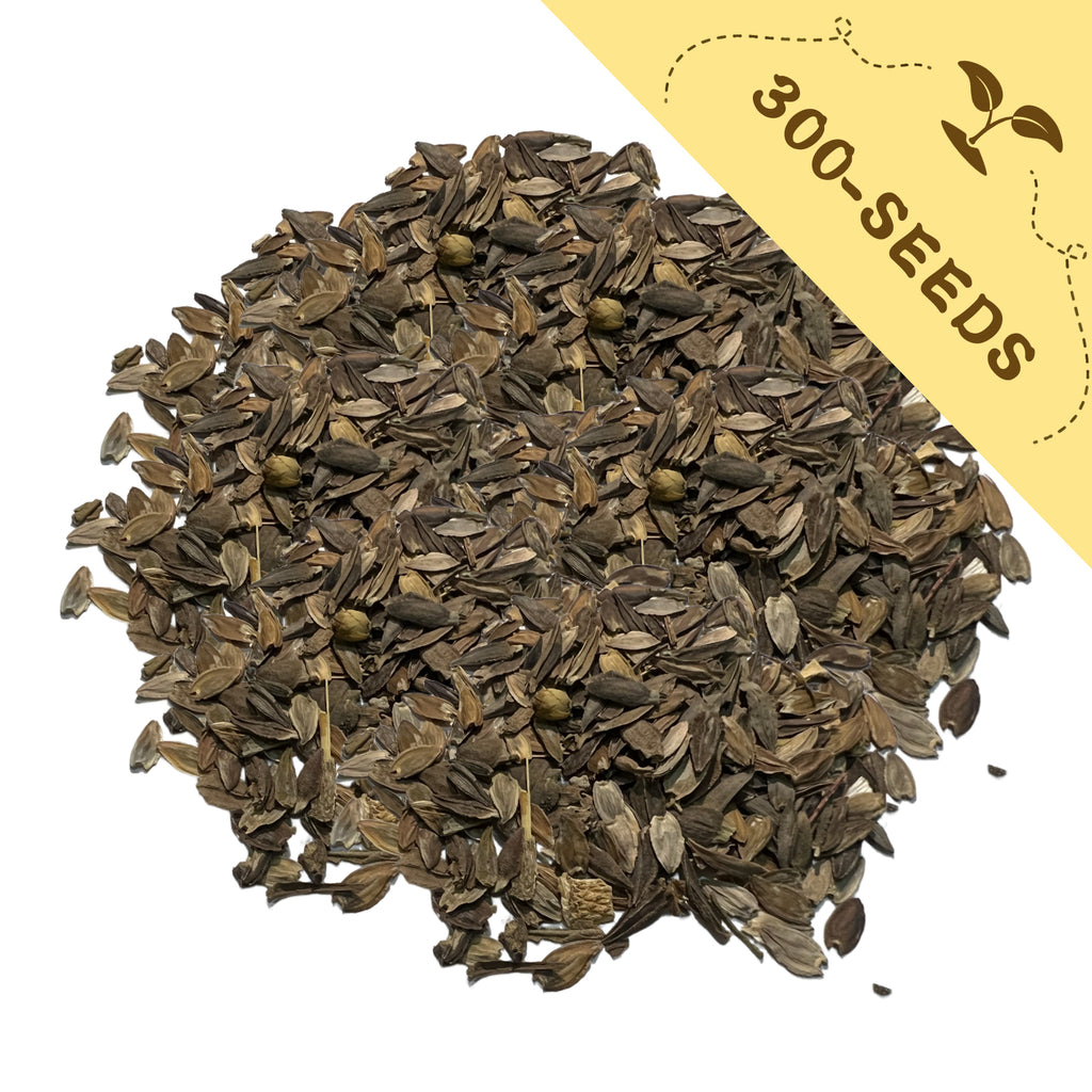 Pile of seeds with a yellow label indicating '300-Zinnia Seeds Elegant Cut & Come Again' on a white background