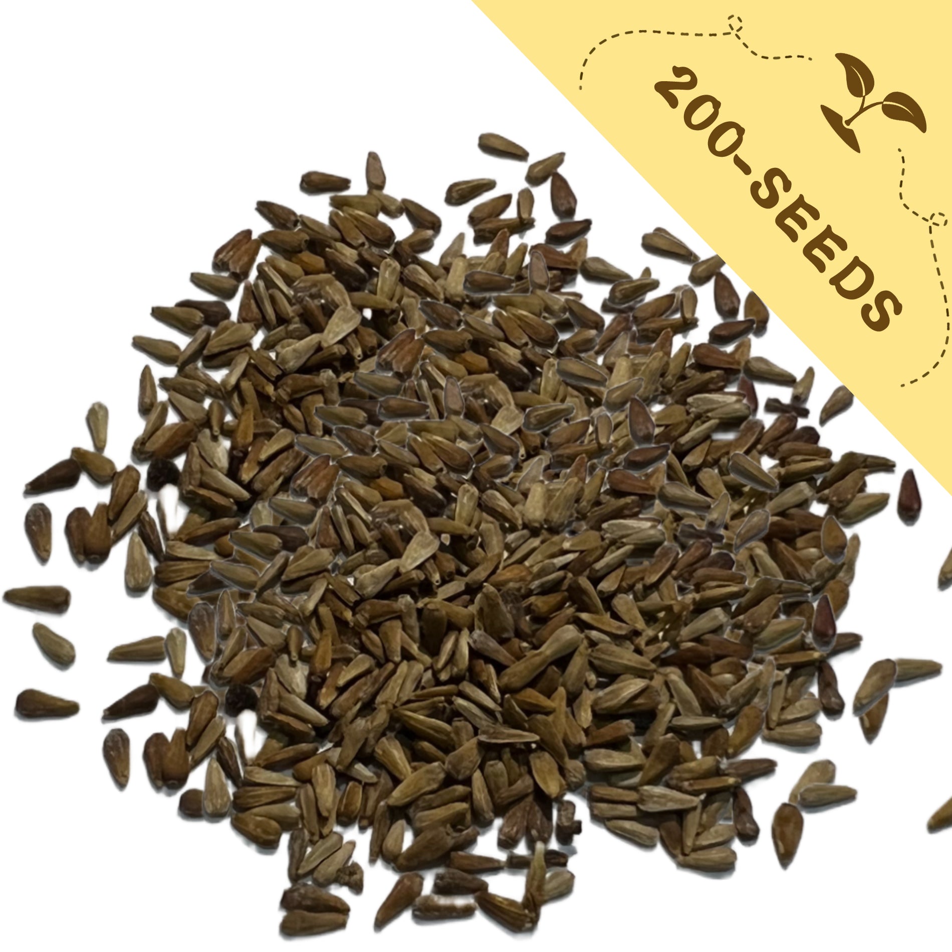 Pile of China Aster Seeds Cut Flower  with a yellow label indicating '200-seeds' on a white background