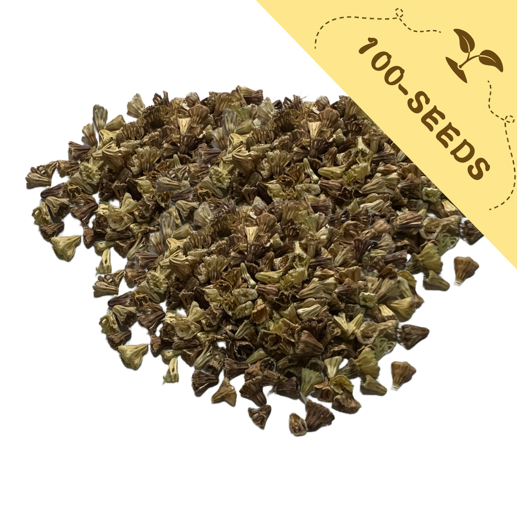 Pile of Pincushion Flower Scabiosa Seeds green seeds with a yellow label indicating '100-seeds' on a white background