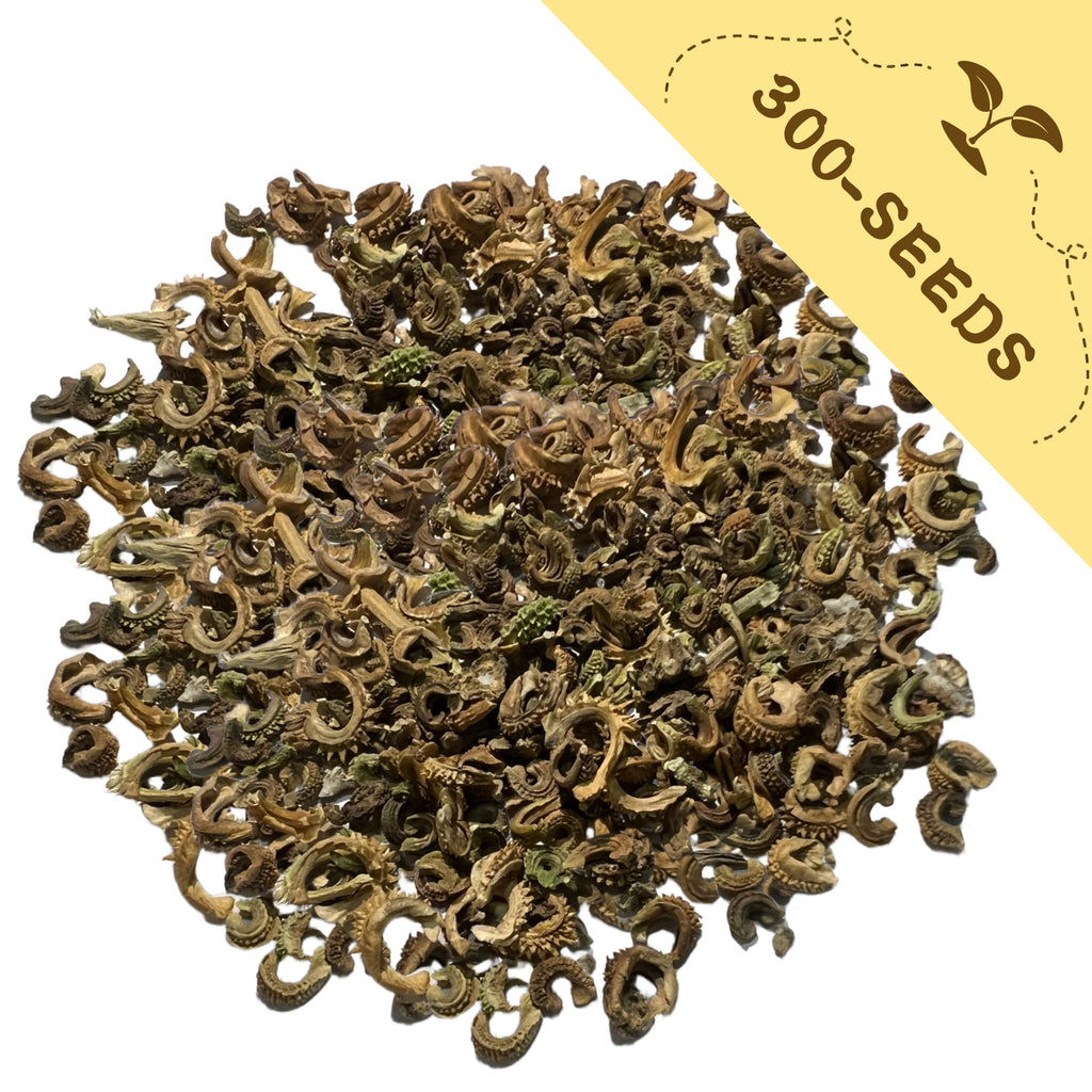 Pile of dried herbs with a yellow label indicating '300-Pot Marigold Calendula Seeds' on a white background