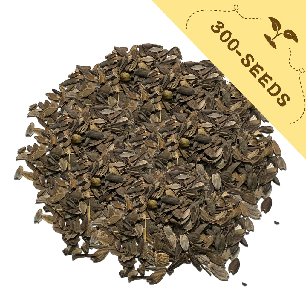 Pile of Elegant Cut & Come Again Zinnia Seeds with a label indicating '300-seeds' on a white background