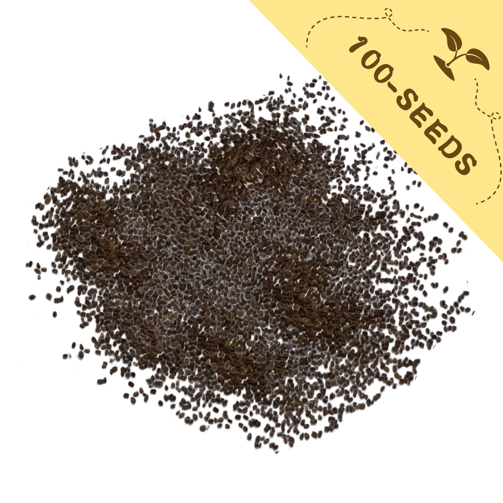 Pile of Foxglove Spires Digitalis Seeds with a yellow label indicating '100-seeds' on a white background