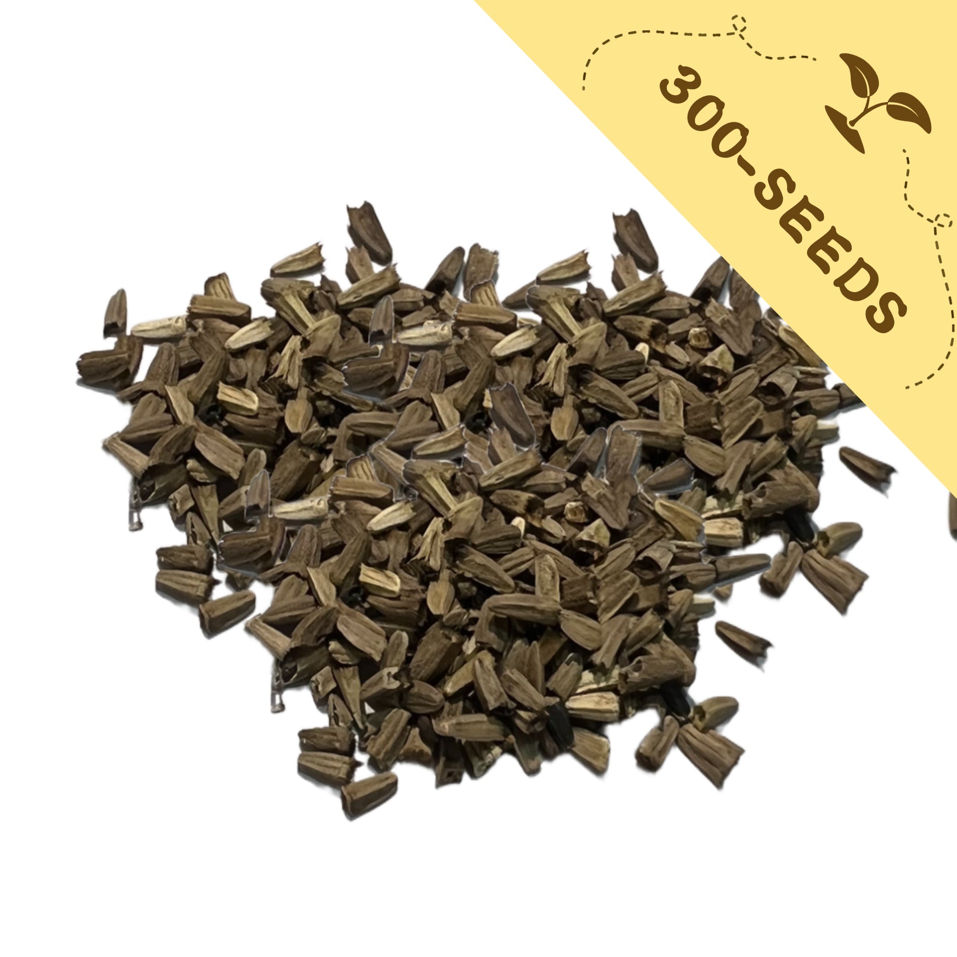 Heap of Coneflower Echinacea Seeds with a yellow label indicating '300-seeds' on a white background