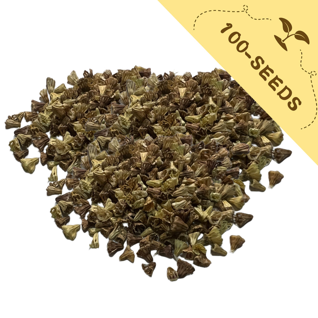 Pile of Pincushion Flower Scabiosa Seeds green seeds with a yellow label indicating '100-seeds' on a white background