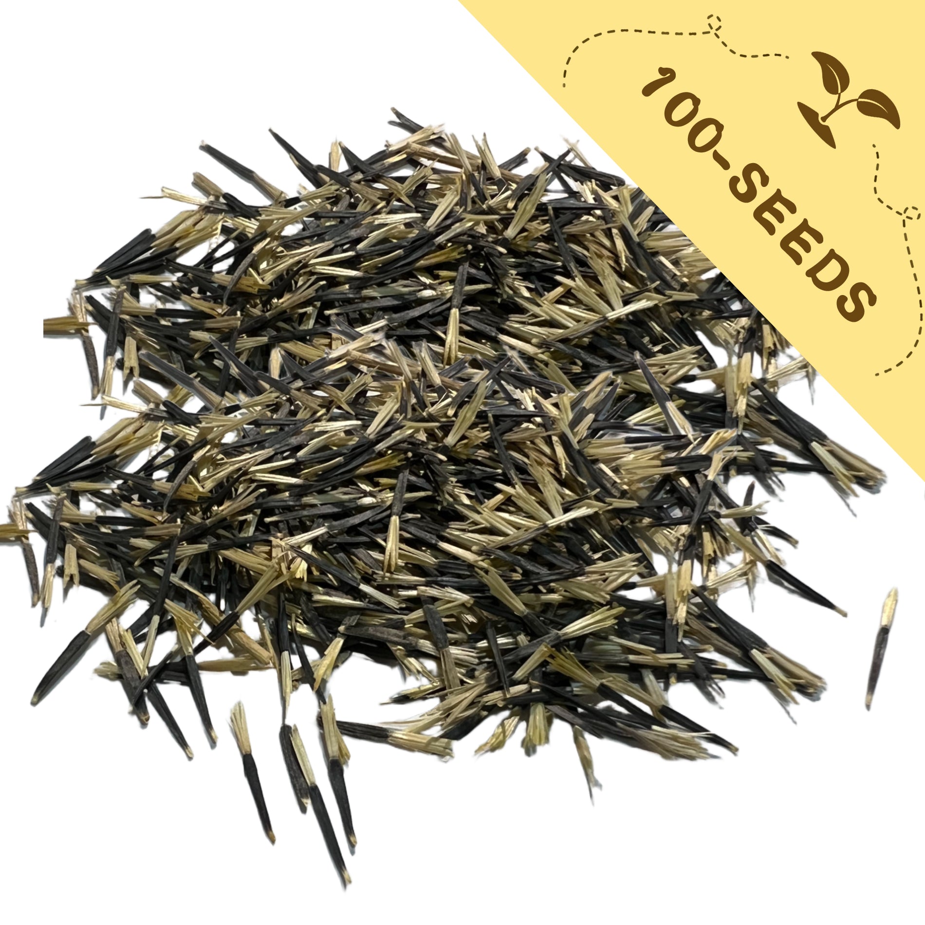 Heap of Tangerine Gem Marigold Seed black and gold with a yellow label indicating '100-seeds'.