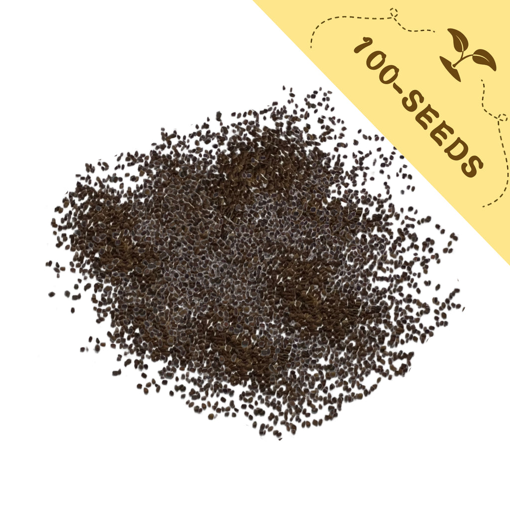 Pile of Foxglove Spires Digitalis Seeds with a yellow label indicating '100-seeds' on a white background