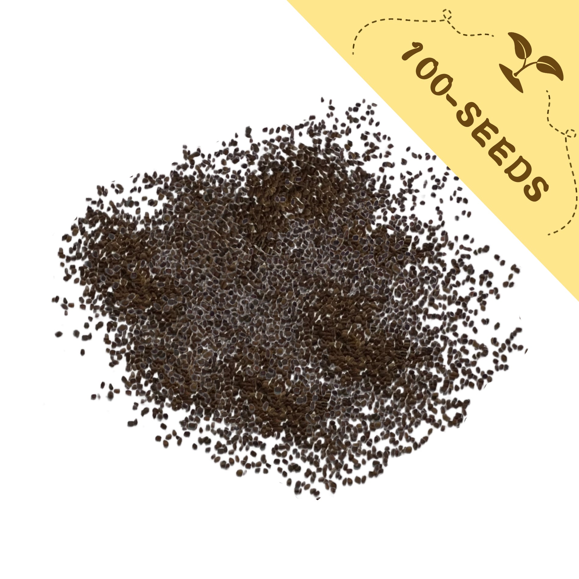 Pile of Foxglove Spires Digitalis Seeds with a yellow label indicating '100-seeds' on a white background