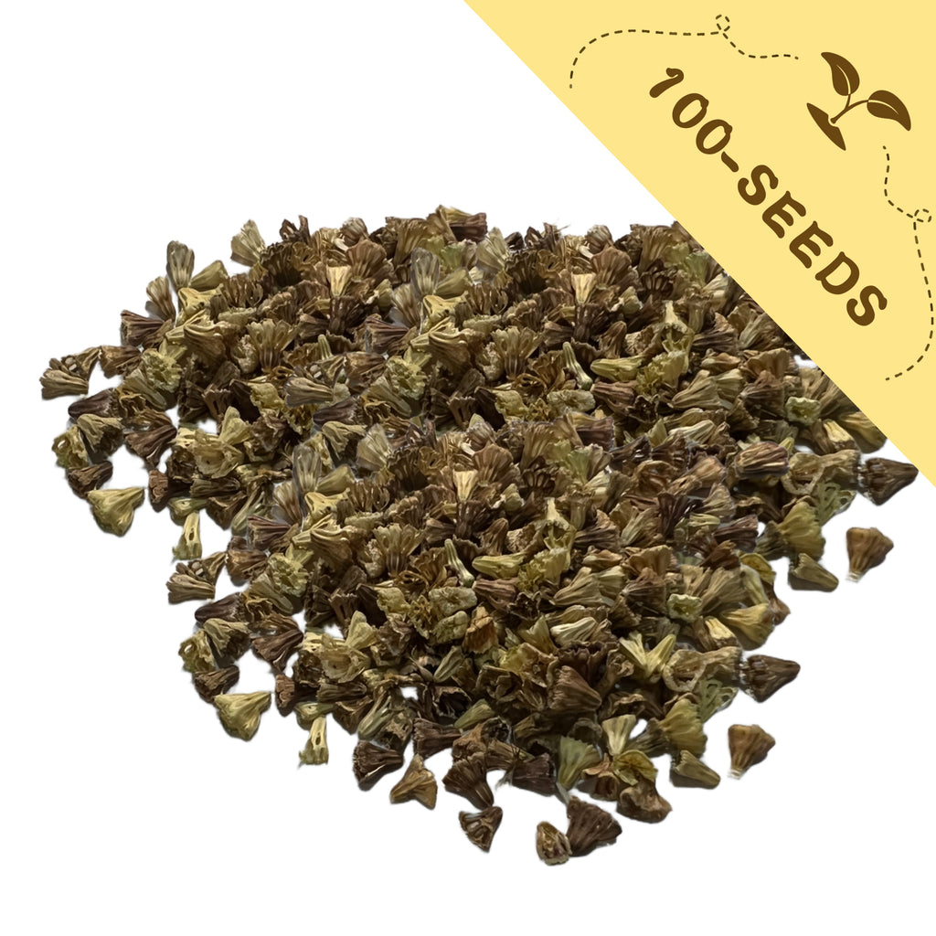 Pile of Pincushion Flower Scabiosa Seeds green seeds with a yellow label indicating '100-seeds' on a white background