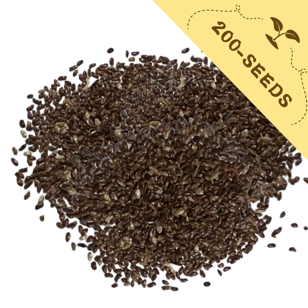 Pile of Bellflower Campanula Seeds with a yellow label indicating '200-seeds' on a white background