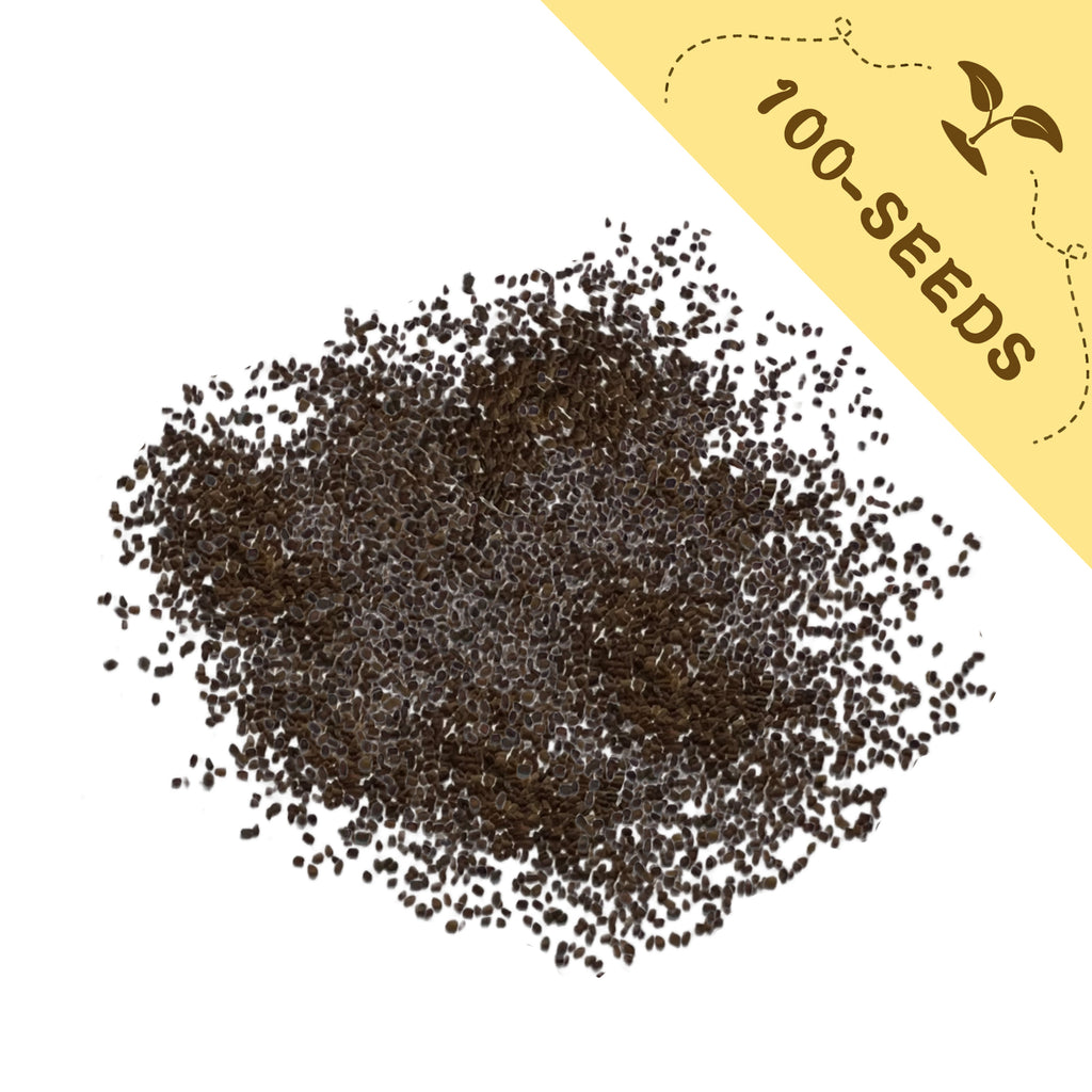 Pile of Foxglove Spires Digitalis Seeds with a yellow label indicating '100-seeds' on a white background