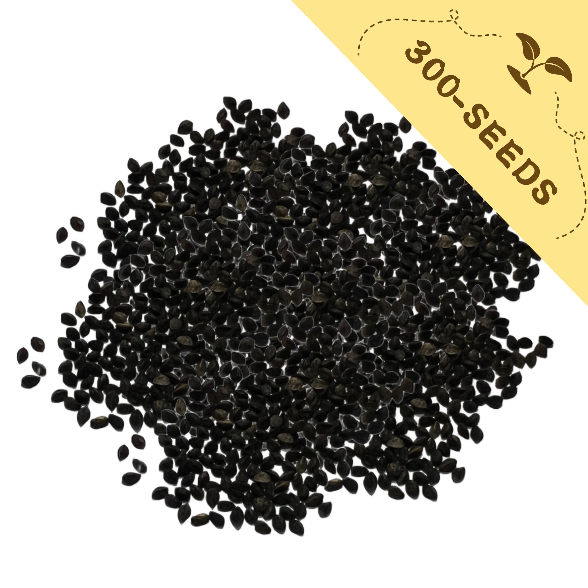 Love-In-A-Mist Nigella Seeds with a yellow label indicating '300-seeds' on a white background
