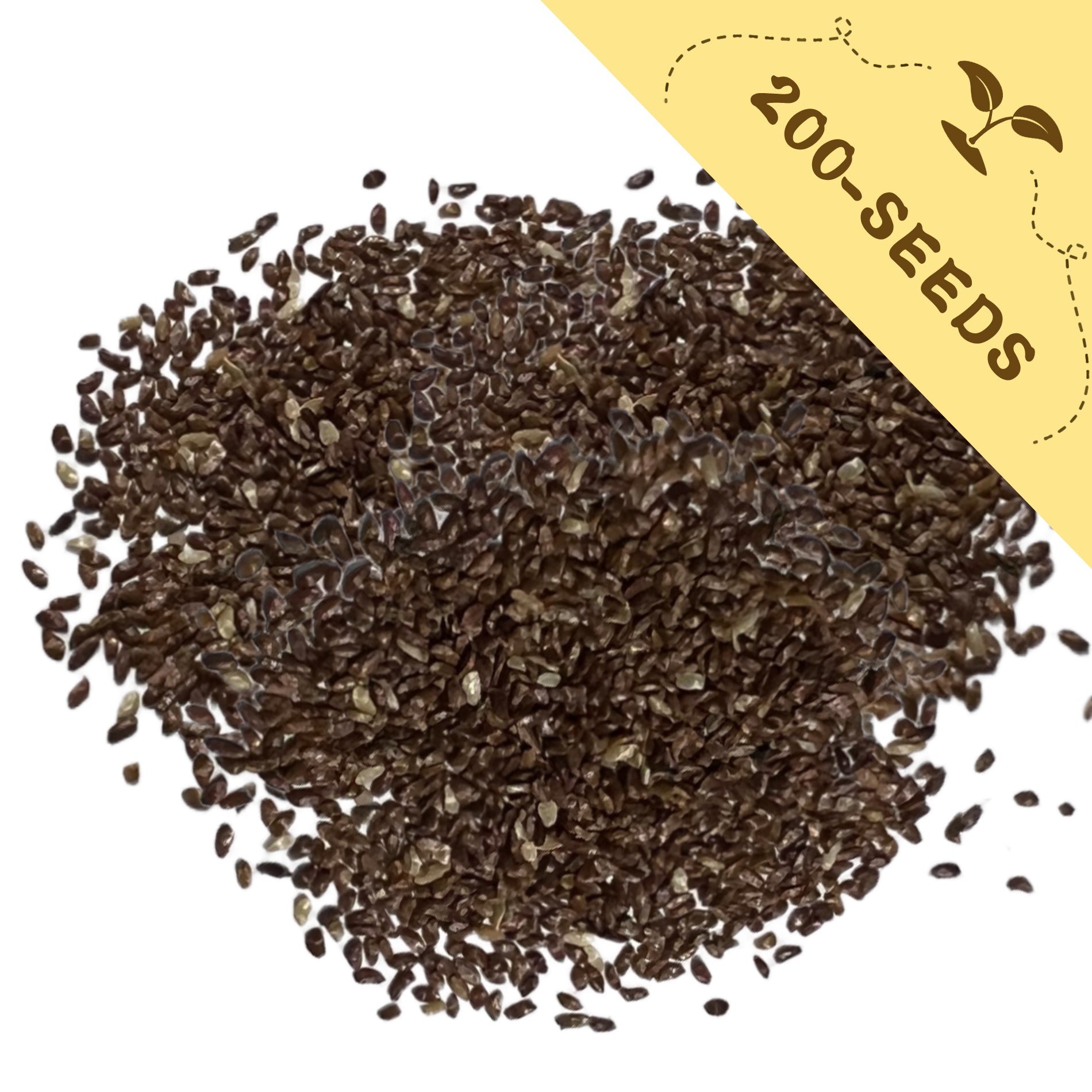 Pile of Bellflower Campanula Seeds with a yellow label indicating '200-seeds' on a white background