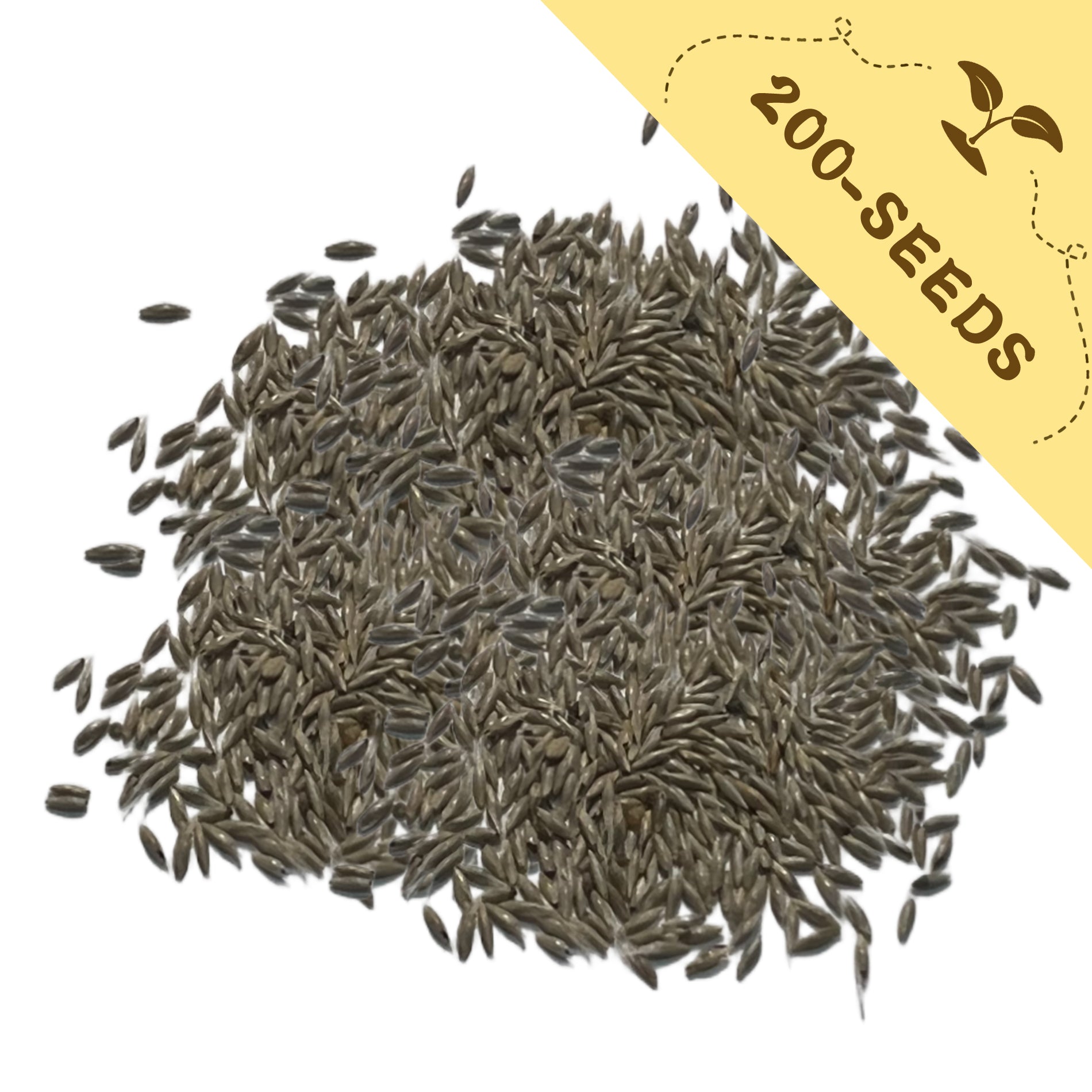 Pile of Savannah Grass Ornamental Grass Seeds with a yellow label indicating '200-seeds' on a white background