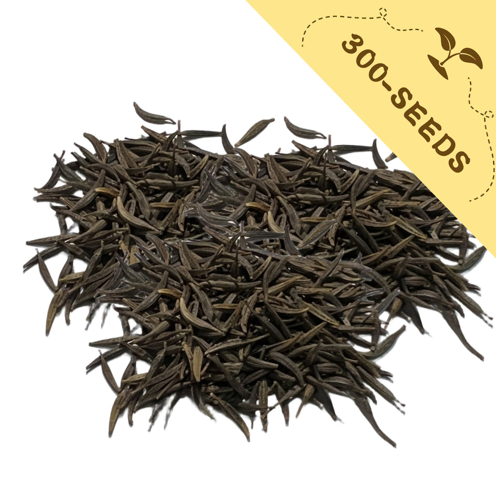 Heap of Mexican Aster Cosmos Seeds with a yellow label indicating '300-seeds' on a white background