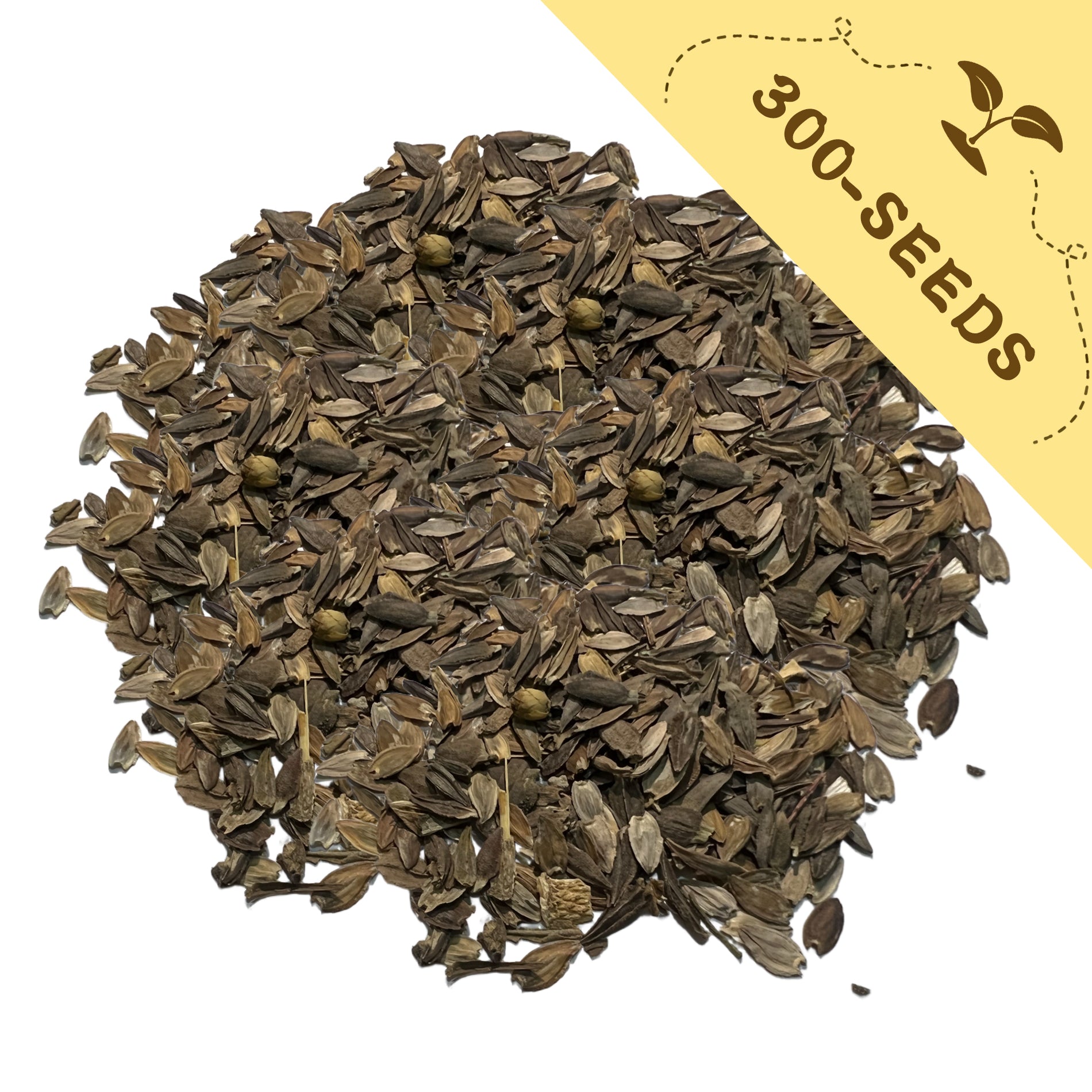 Heap of dark brown Elegant Cut & Come Again Zinnia Seeds with a yellow label indicating '300-seeds' on a white background
