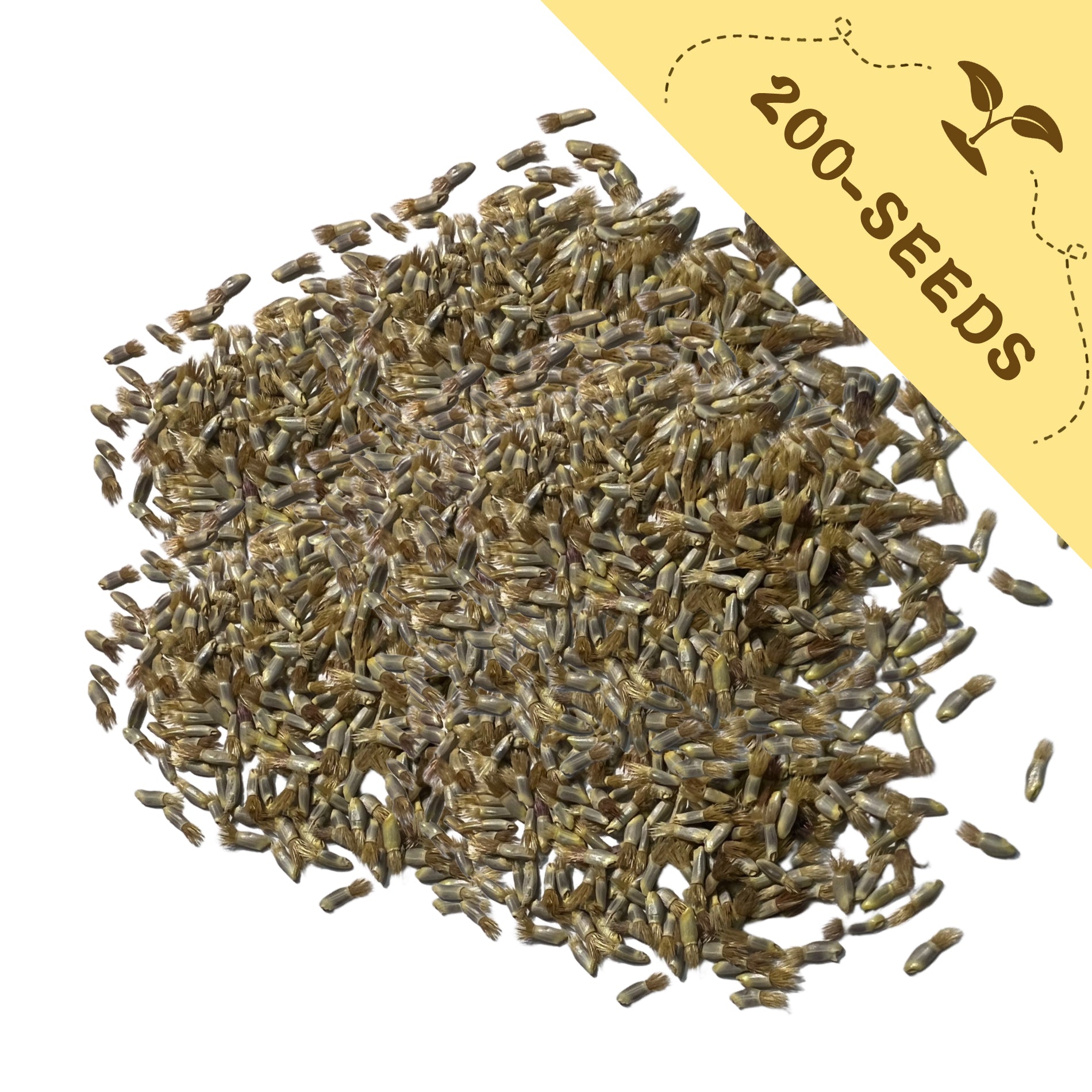 Pile of Bachelor's Button Knapweed Cornflower Centaurea Seeds with a label indicating '200-seeds' on a white background
