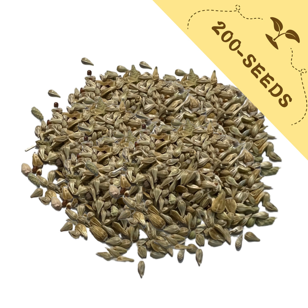 Pile of seeds with a yellow label indicating '200-seeds' on a white background.Globe Amaranth Gomphrena Seeds