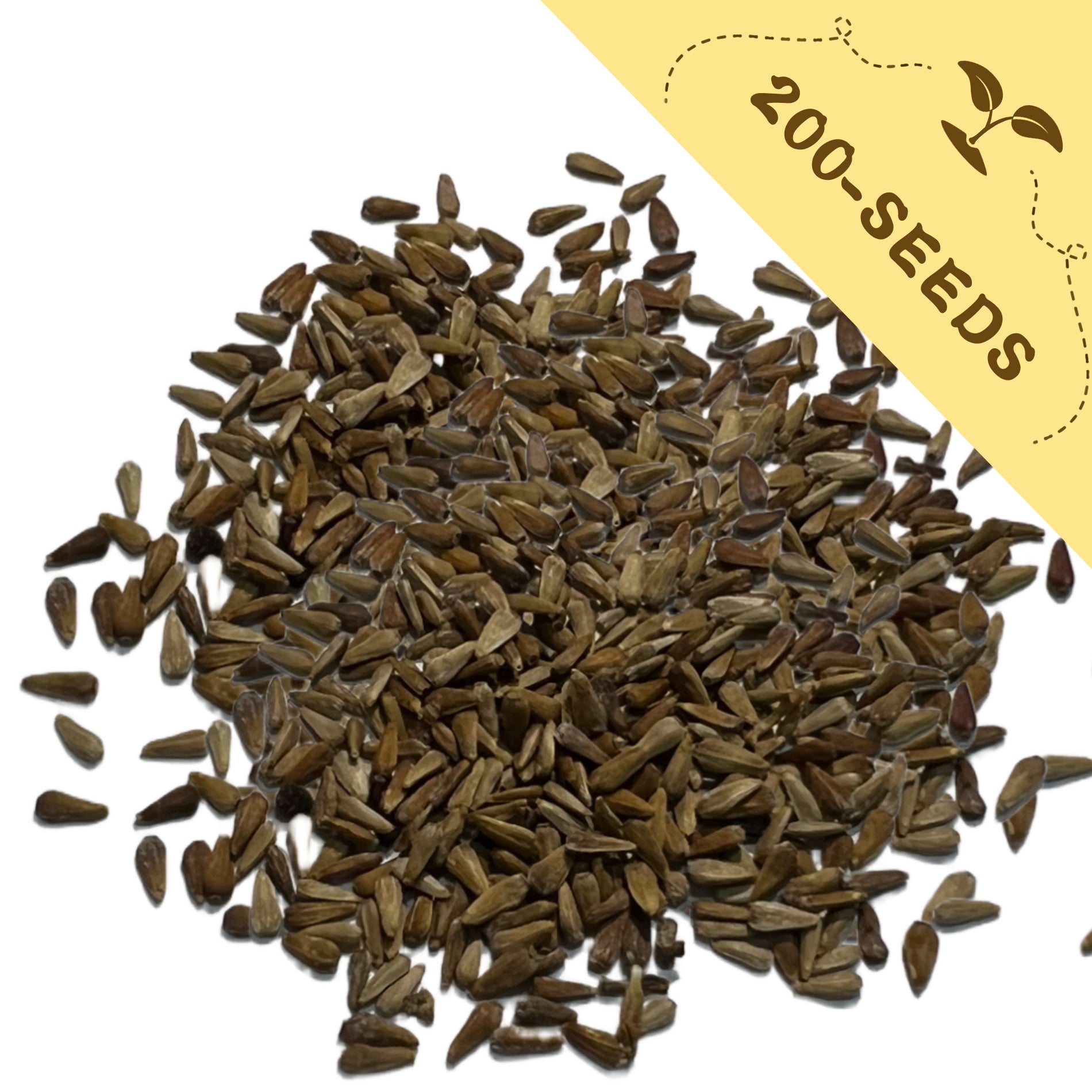 Pile of Professional Cut Variety Aster Seeds with a yellow label indicating '200-seeds' on a white background