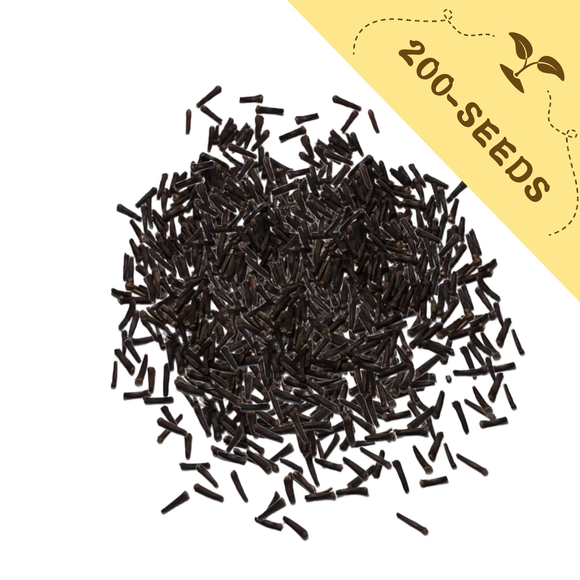 Pile of Winged Everlasting Dried Flower Ammobium Seeds with a yellow label indicating '200-seeds' on a white background