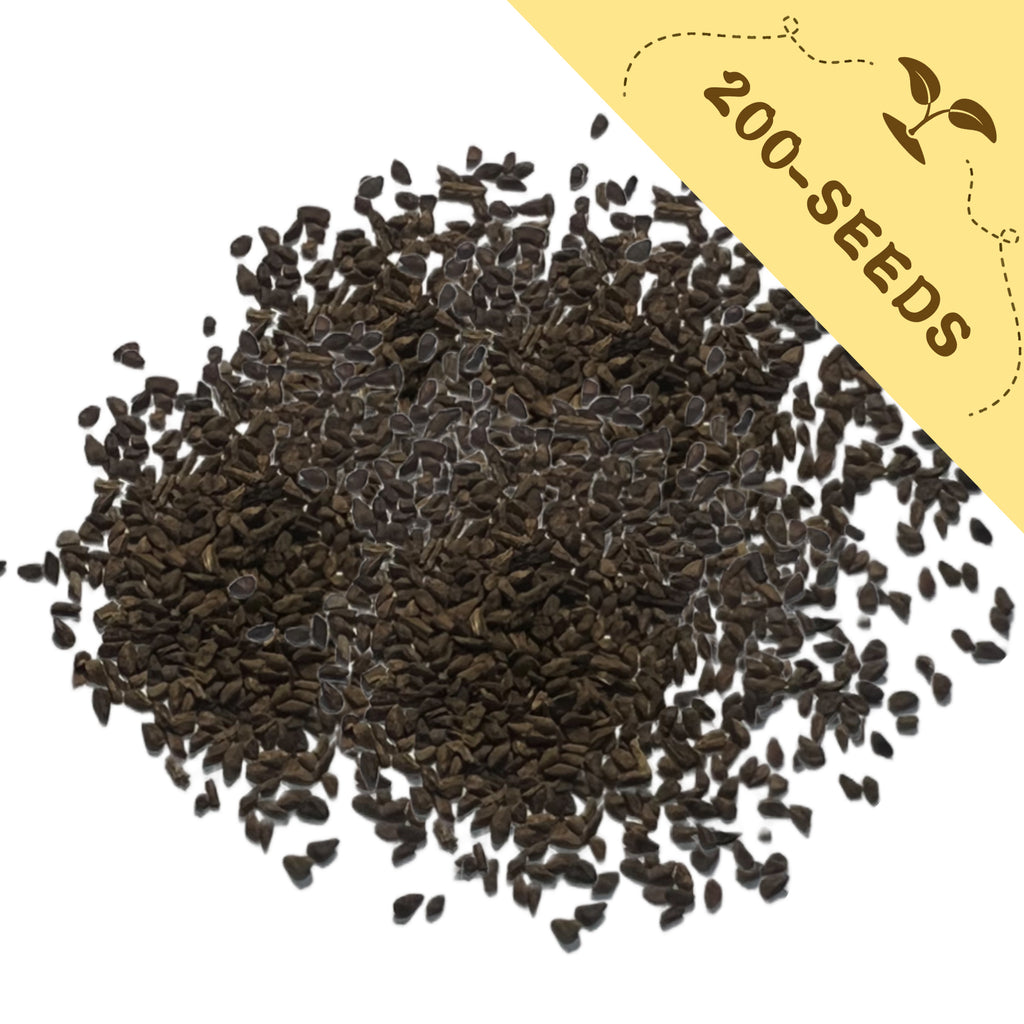 Pile of Mountain Garland Clarkia Seeds with a yellow label indicating '200-seeds' on a white background