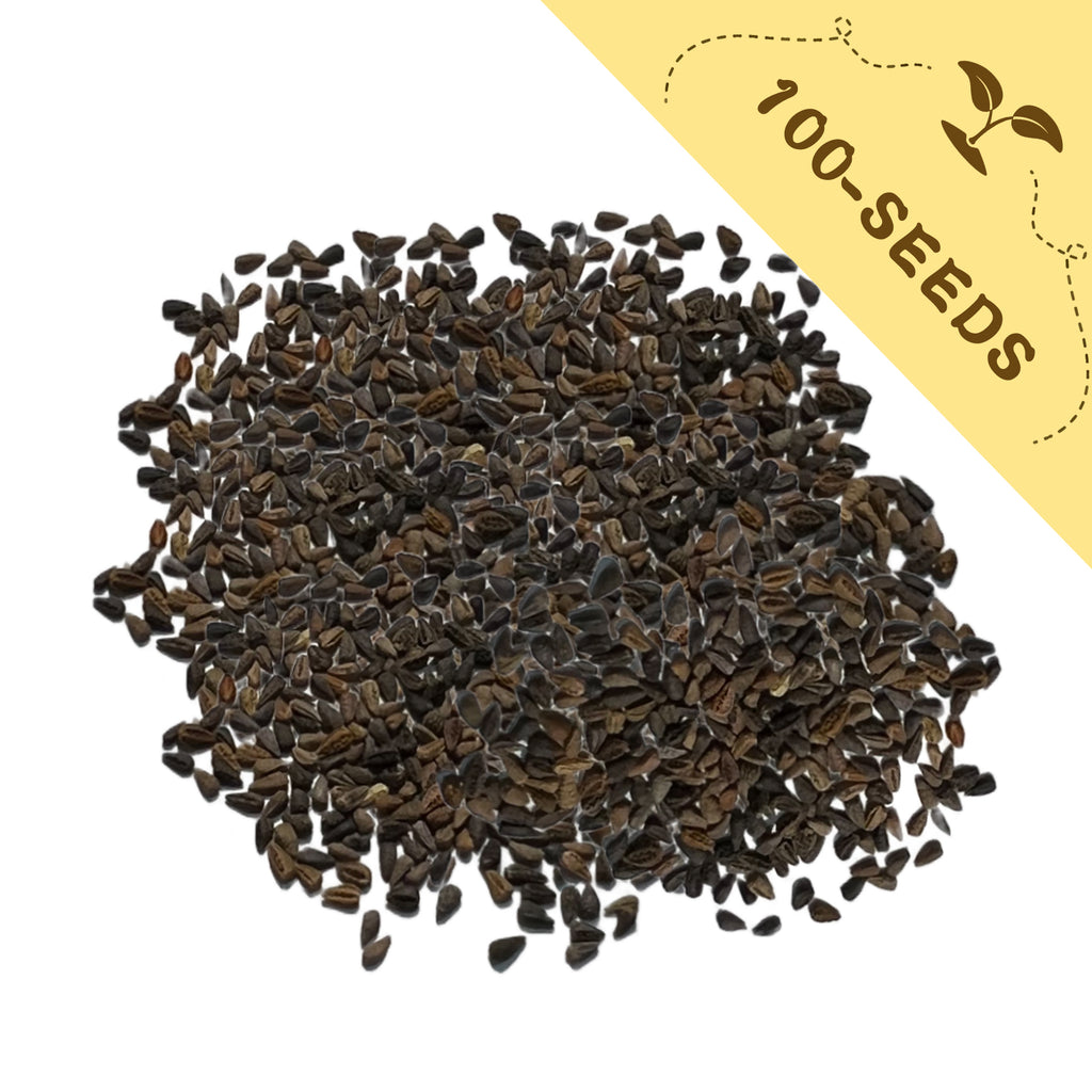 Pile of Double Rose Varieties Lisianthus Seeds with a yellow label indicating '100-seeds' on a white background