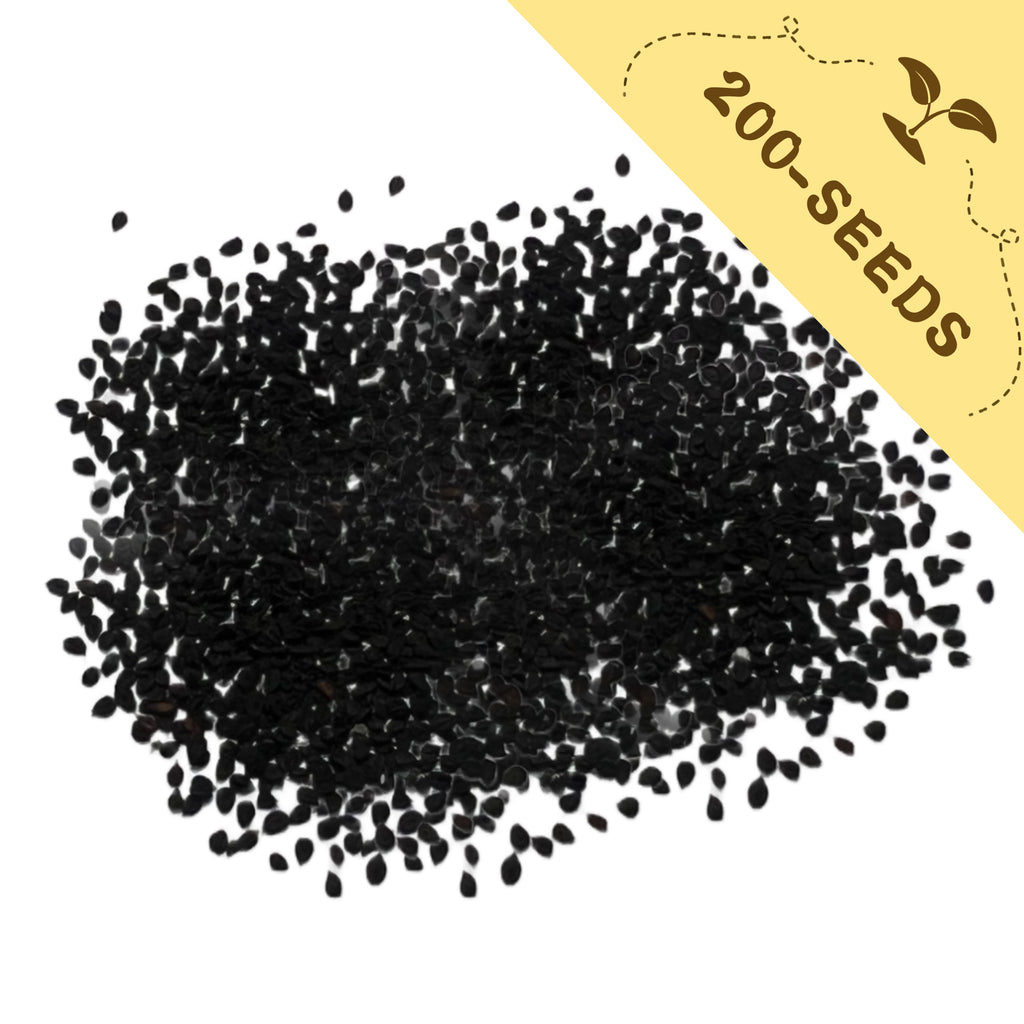 Sweet William Dianthus Seeds with a yellow label indicating '200-seeds' on a white background