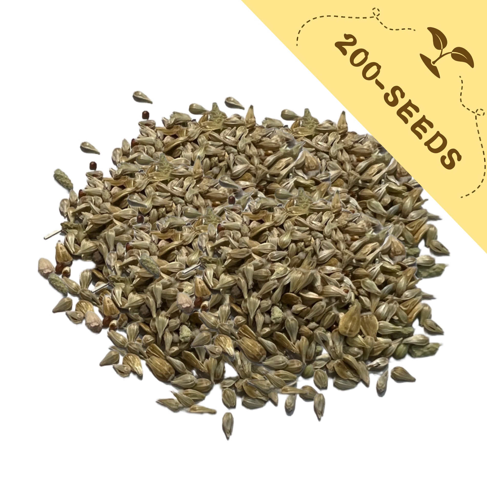 Pile of Globe Amaranth Gomphrena Seeds with a yellow label indicating '200-seeds' on a white background