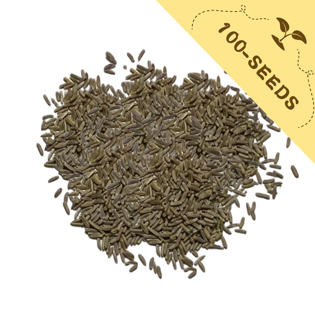 Pile of Silver Lace Foliage Dusty Miller Seeds with a yellow label indicating '100-seeds' on a white background