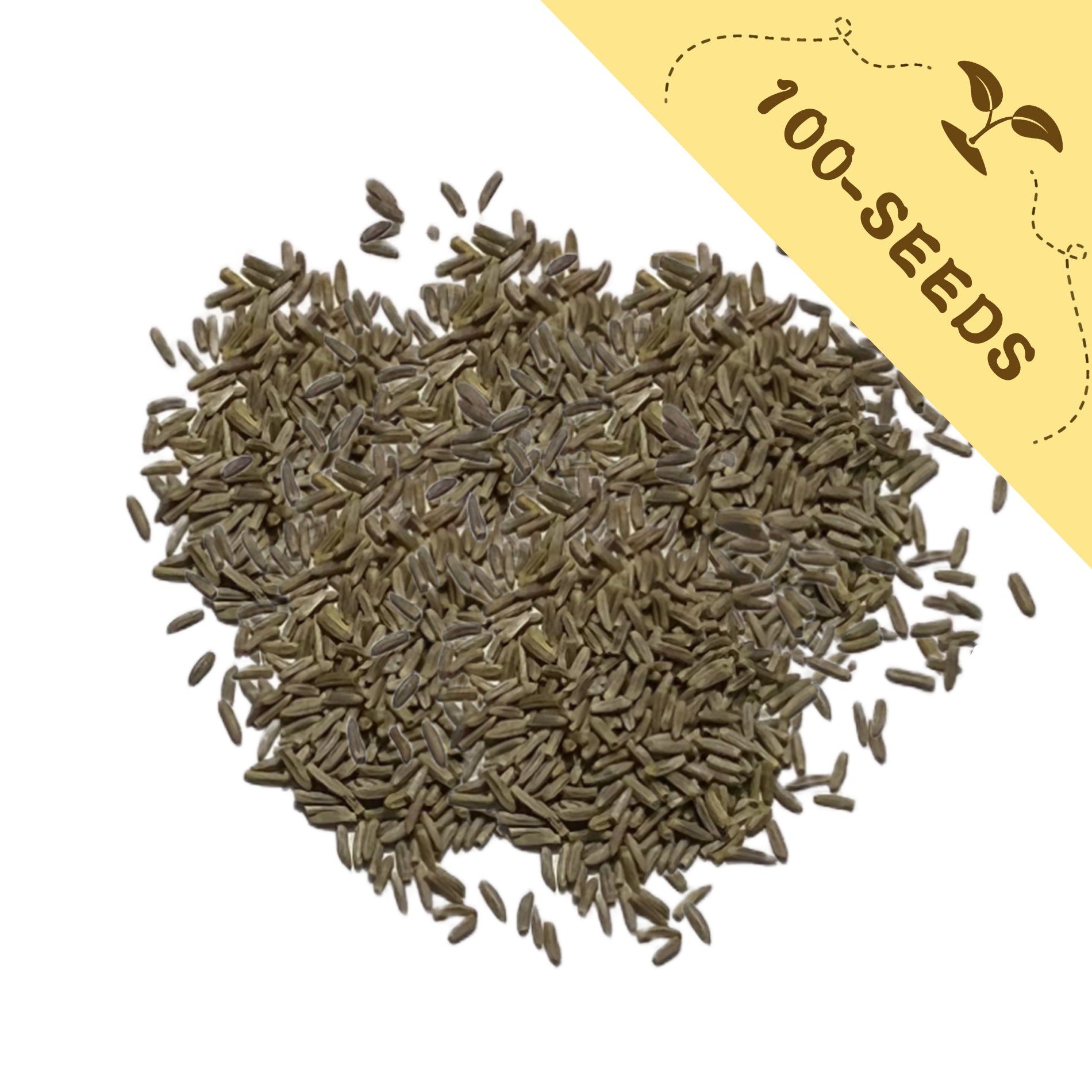 Pile of Silver Lace Foliage Dusty Miller Seeds with a yellow label indicating '100-seeds' on a white background