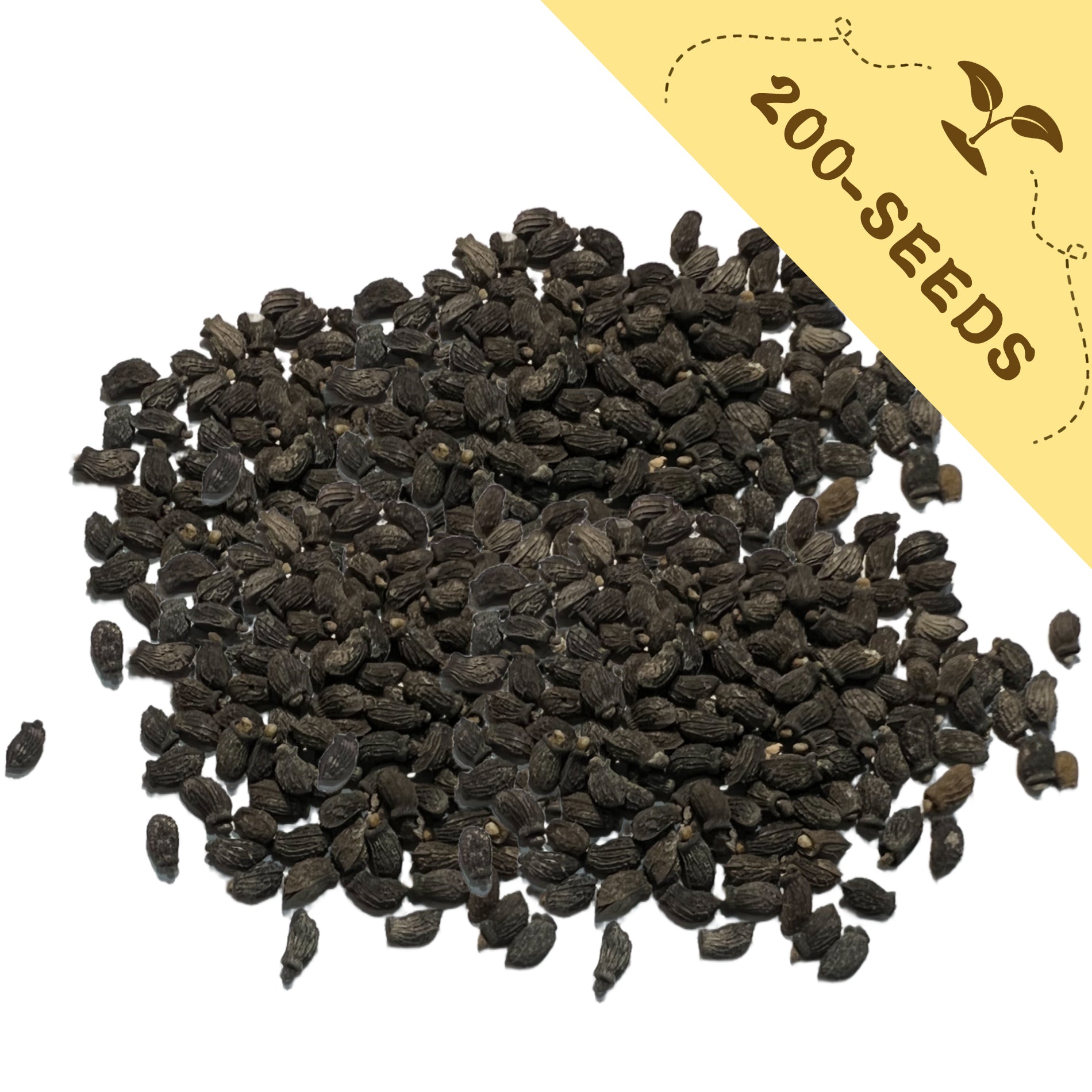 Pile of Edible Blue Starflower Borage Seeds with a yellow label indicating '200-seeds' on a white background
