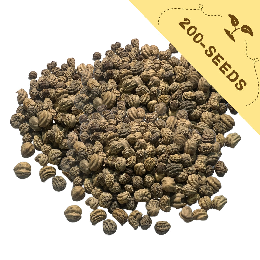 Pile of Indian Cress Nasturtium Seeds  with a yellow label indicating '200-seeds' on a white background