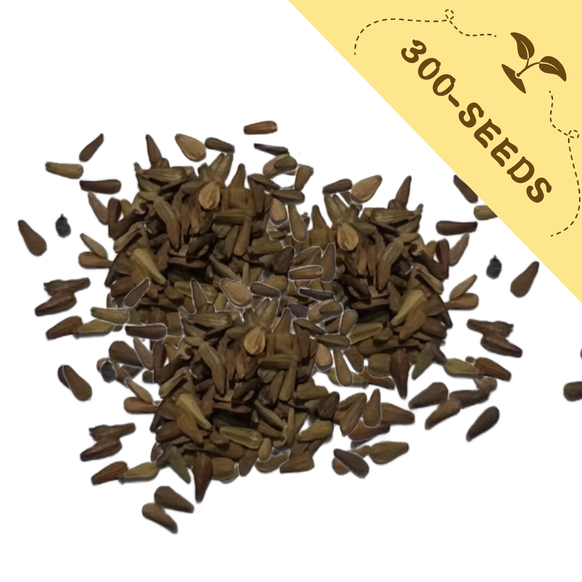 Pile of Sweet Annie Aromatic Foliage Artemisia Seeds with a yellow label indicating '300-seeds' on a white background